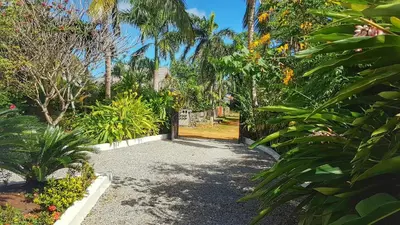 a garden with a gate and some plants and trees at La Belle Créole in Las Galeras