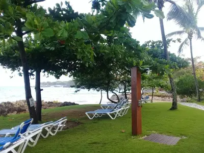 a group of lounge chairs on the grass near the ocean at Vacations in the Caribbean Paradise in Sosúa