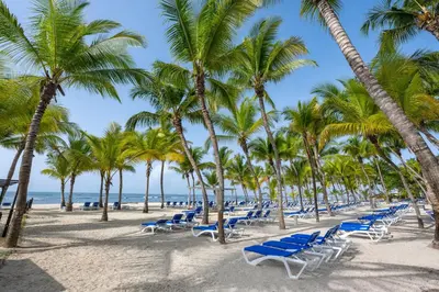 a beach with blue chairs and palm trees at Coral Costa Caribe Beach Resort - All Inclusive in Juan Dolio