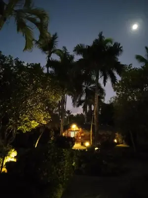 a house lit up at night with palm trees at Las Palmas Eco Residence in Las Terrenas