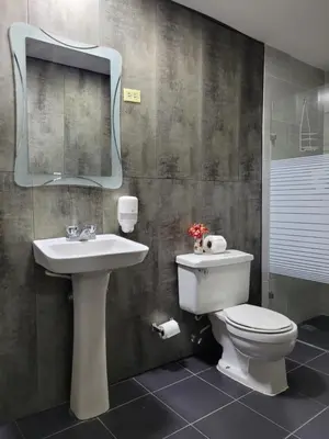 a bathroom with a toilet and a sink and a mirror at Hotel Olimpo in La Romana