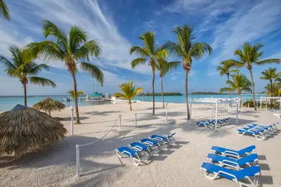 a beach with chairs and palm trees and the ocean at Hotel whala!boca chica - All Inclusive in Boca Chica