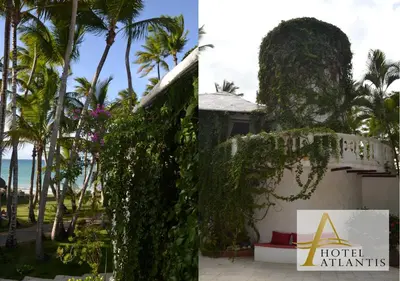 a building covered in ivy next to the ocean at Hotel Atlantis in Las Terrenas
