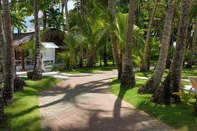 a path with palm trees in front of a house at Hotel Atlantis in Las Terrenas