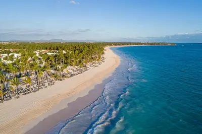 an aerial view of a beach with palm trees and the ocean at Occidental Punta Cana - All Inclusive in Punta Cana