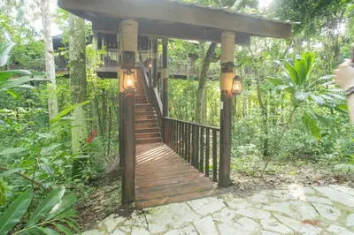 a wooden walkway leading to a gazebo in the forest at Platon Ecolodge in Santa Cruz de Barahona