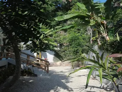 a path through a forest with trees and a fence at House Jardin Del Caribe in Las Terrenas