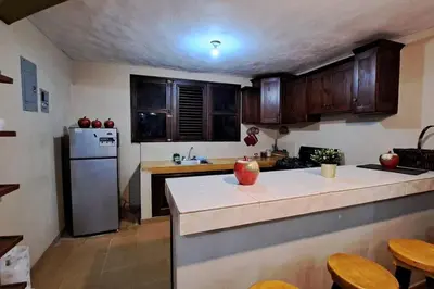 a kitchen with a refrigerator and a counter top at Casa Villa Anacahuita in Jarabacoa