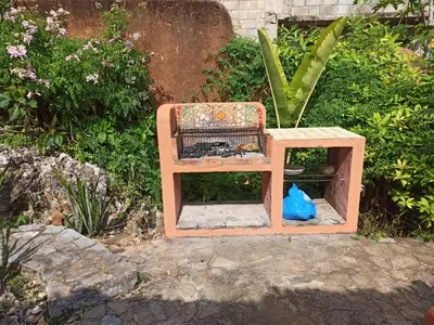 a wooden chair and a bird house sitting on a rock at La Casa Del Arbol in Las Galeras