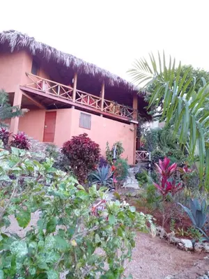 a building with a bunch of plants in front of it at La Casa Del Arbol in Las Galeras