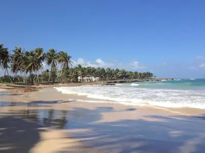 a beach with palm trees and the ocean at Baoba Breeze Bed & Breakfast- beachfront paradise in Cabrera