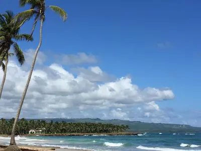 a beach with two palm trees and the ocean at Baoba Breeze Bed & Breakfast- beachfront paradise in Cabrera