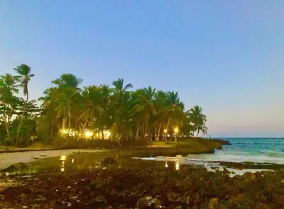a beach with palm trees and the ocean at night at Baoba Breeze Bed & Breakfast- beachfront paradise in Cabrera