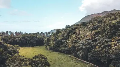 a view of a mountain with trees and a field at El Valle Lodge in El Valle