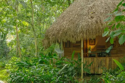 a cabin in the woods with a thatch roof at El Valle Lodge in El Valle