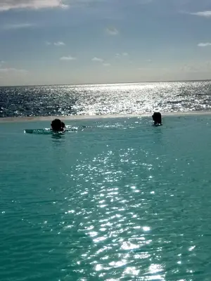 two elephants swimming in the water in the ocean at Million View Room Adults Only Resort 3 in La Laguna