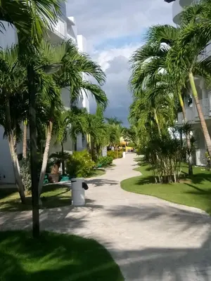 a sidewalk with palm trees in front of a building at Million View Room Adults Only Resort 3 in La Laguna