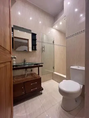 a bathroom with a toilet and a sink and a shower at Paseo Colonial - El Monasterio #4 in Santo Domingo