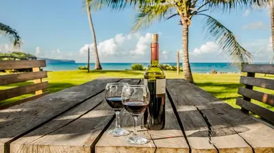 a bottle of wine and two glasses on a wooden table at Villa Flamboyan in Las Galeras