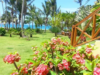 a garden with flowers and the ocean in the background at Villa Maxime in Las Galeras