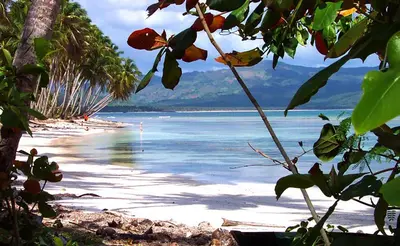a view of a beach with trees and the water at Villa Maxime in Las Galeras