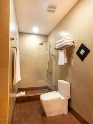 a bathroom with a toilet and a shower at Weston Suites Hotel in Santo Domingo
