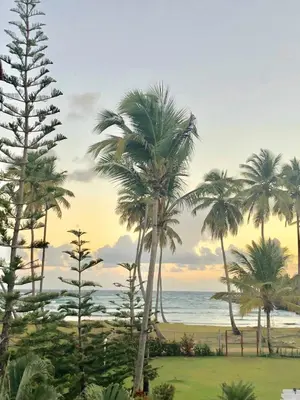 a view of the ocean from a resort with palm trees at Casa Azul Las Galeras in Las Galeras