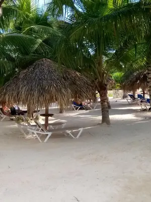 a beach with chairs and a straw hut and palm trees at Apartamentos y habitaciones sol dominicus SOLO ADULTOS in La Laguna