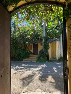 an open door to a yard with a building with flowers at Surfbreak B&B in Cabarete