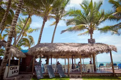 a gazebo on the beach with palm trees at Kite Beach Inn in Cabarete