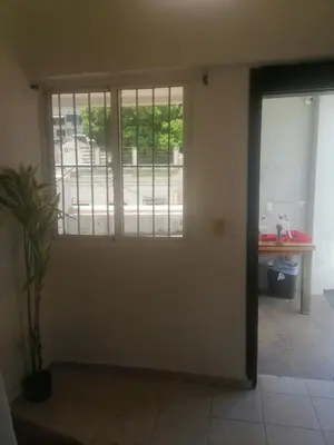 a door in a room with a plant in front of it at J. B Apartamentos in Santo Domingo