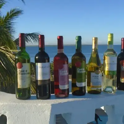 Guesthouse Villa La Isla