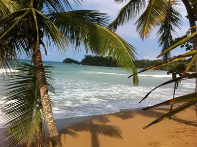 a view of a beach with palm trees and the ocean at bungalow 3116 vue sur piscine in Las Galeras