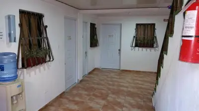 a hallway with two doors and plants on the walls at Hotel Riparbella in Santo Domingo