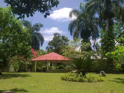 a gazebo in a park with palm trees and grass at Los Palmares Guest House & Eventos in San Cristóbal