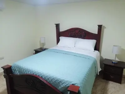 a bedroom with a large bed with two night stands at Hotel Anedi in Concepción de La Vega