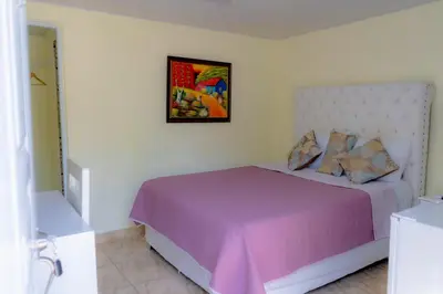 a bedroom with a bed with purple sheets and a picture on the wall at Hotel Anedi in Concepción de La Vega