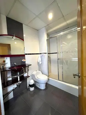 a bathroom with a toilet and a shower at Aparta Hotel Roma in Santo Domingo
