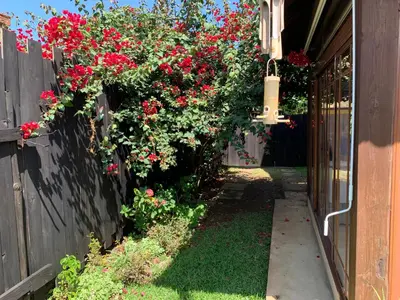 a garden with red flowers on a fence at Ximenoa Rivers Villa Relax in Jarabacoa