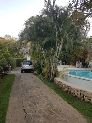a car parked next to a house with a palm tree at Casa Flamingo in Las Terrenas