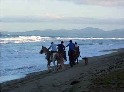 a group of people riding horses on the beach at Beachfront apartment near Cabarete in Cabarete