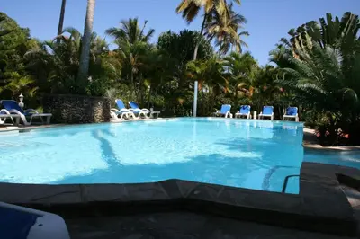 a large swimming pool with chairs and palm trees at Beachfront apartment near Cabarete in Cabarete