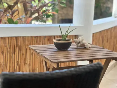 a wooden table with a plant and a bowl on it at Bahia Residence Cabarete in Cabarete