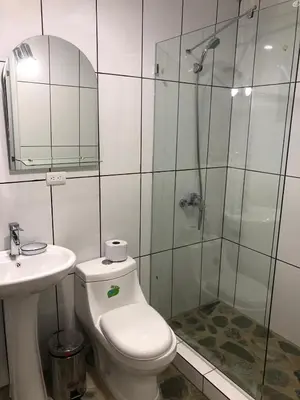 a bathroom with a toilet and a shower and a sink at Casa Coral Sosua in Sosúa
