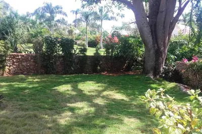 a yard with a tree and a stone wall at Welcoming House in Las Galeras with Stunning Sea View in Las Galeras