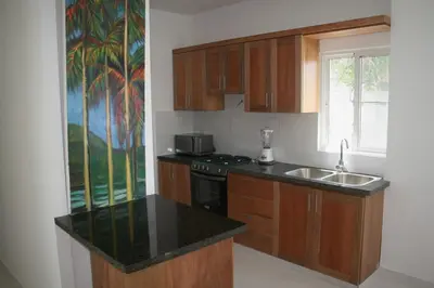 a kitchen with a sink and a stove top oven at Villa Deluxe Costambar in San Felipe de Puerto Plata