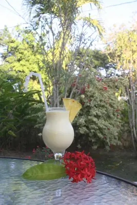 a glass vase sitting on a table with red flowers at Hotel Magic Tropical in Boca Chica
