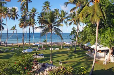 a view of a beach with palm trees and the ocean at Hotel TODOBLANCO, Las Galeras, SAMANA in Las Galeras