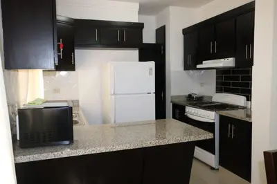 a kitchen with black cabinets and a white refrigerator at Tu Segundo Hogar en Santiago, La Cuidad CORAZÓN in Santiago de los Caballeros