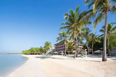 a beach with palm trees and a hotel at Modern apartment in Boca Chica – 75 m² with air conditioning in Boca Chica